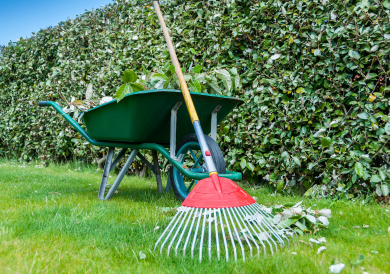 Lawn Care Tools