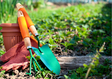 Planting Tools