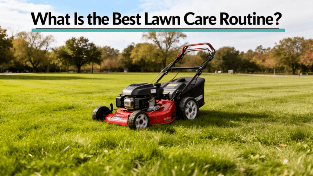 What Is the Best Lawn Care Routine?
