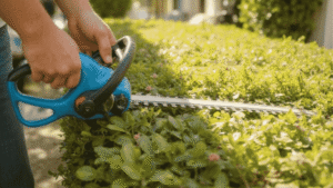 Hedge Trimmers